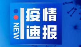 吉林爆料最新新闻,揭秘XX事件背后真相