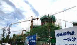 南充房子爆料事件最新